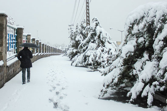 عکس: بارش برف در تبریز