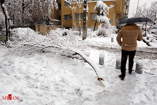 تهران برفی