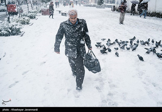 بارش زیبای برف در رشت