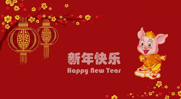 طالع بینی بر اساس سال نو چینی؛ سال خوک چگونه خواهد بود؟