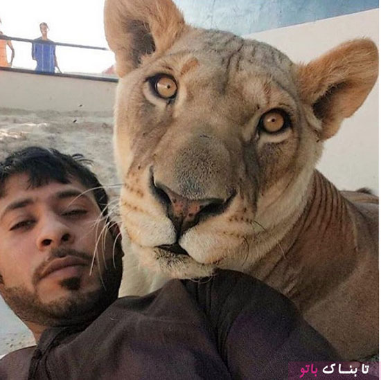 باغ وحش خانگی جوان اماراتی