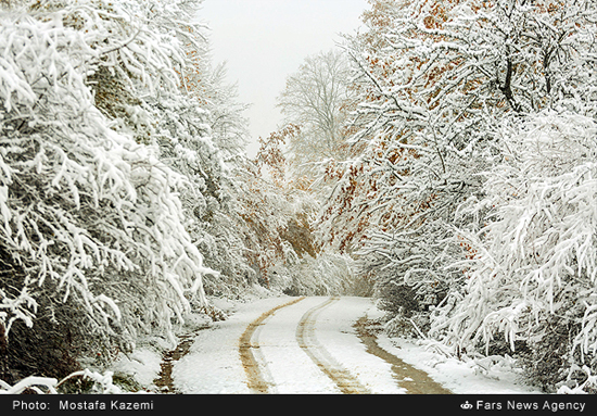 طبیعت زیبای چهاردانگه ساری