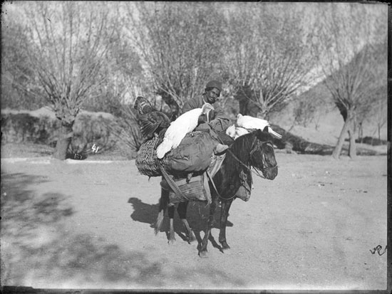 عکس: مشاغل ایرانیان در زمان قاجار (1)