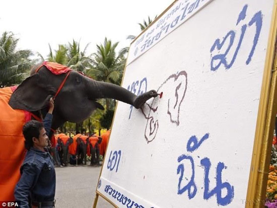 روز ملی فیل ها در تایلند +عکس
