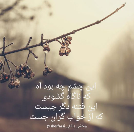 مینی شعر(238)