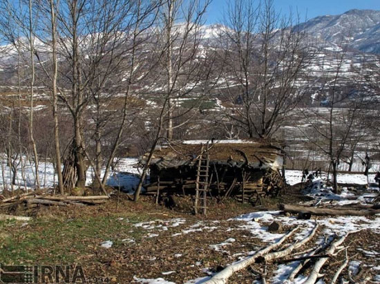 کشف خانواده‌ای در جنگل؛ بدون شناسنامه!