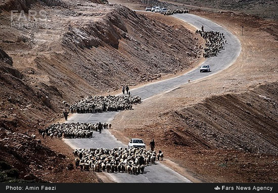 تصاویری زیبا از کوچ عشایر قشقایی