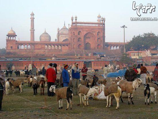 راهنمای یک سفر هندی و خاطره انگیز