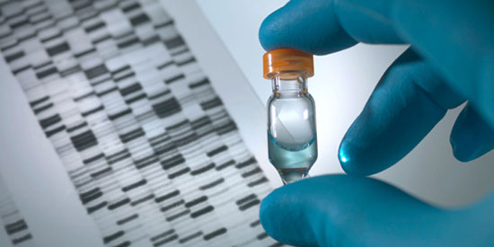 ساخت کوچکترین دماسنج جهان با DNA