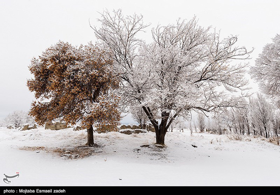 طبیعت زیبای زمستان در ارومیه