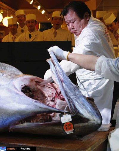 تصاویر: ماهی کیلویی 23 میلیون تومانی!