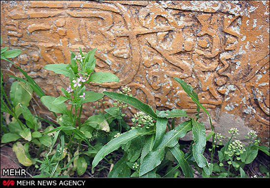 قبرستان اسرار آمیز روستای شمس آباد