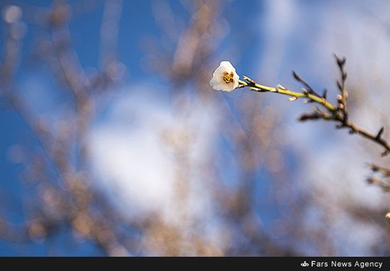 طبیعت بهاری آذربایجان شرقی