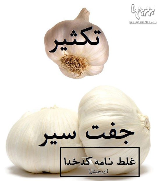 غلط نامه کدخدا! (8)