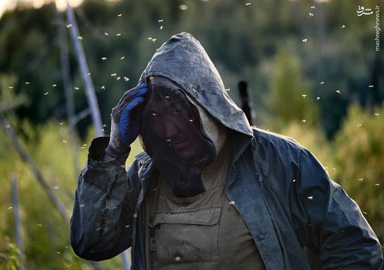 تجارت شکارچیان ماموت در سیبری