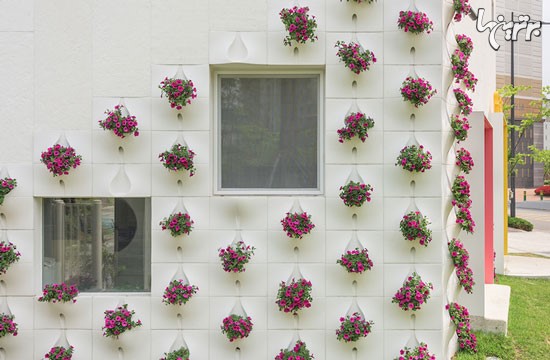عکس: دیواری که با گلدان رنگ می شود!