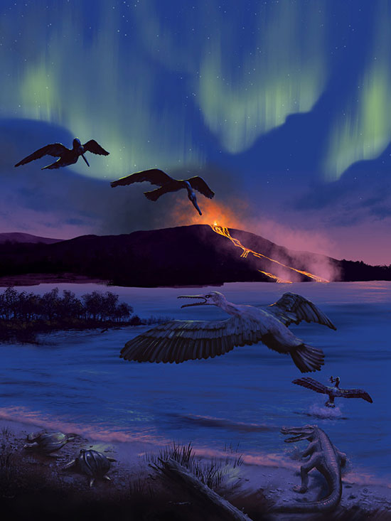 کشف پرنده ماقبل تاریخ قطبی