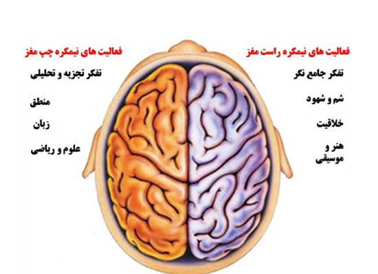 آزمون ذهنی؛ کدام نیمکره مغزتان فعال است؟