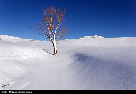 طبیعت زیبای زمستان در ارومیه