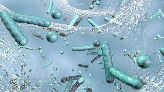 راه مقابله با باکتری‌های مقاوم برابر آنتی‌بیوتیک