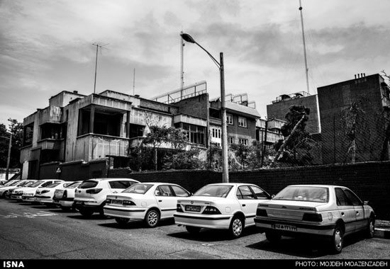 عکس: رها شده در شهر