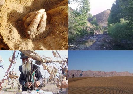 عجایب چهارگانه ترسناک ایران