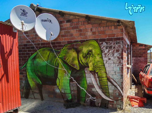 عکس: فیل در خیابان های آفریقای جنوبی!