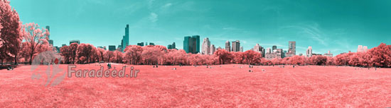 پارک مرکزی نیویورک سرخ شد!