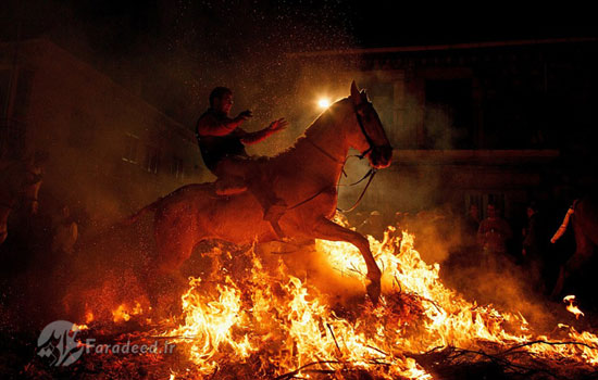 جدال اسب با آتش برای تطهیر