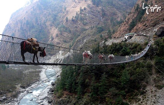 ترسناک ترین پل های جهان (2)