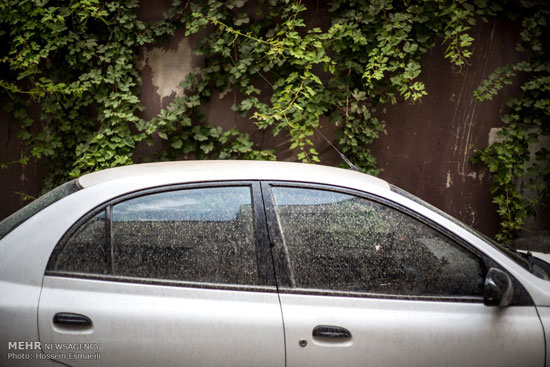 عکس: آلودگی ناشی از طوفان تهران