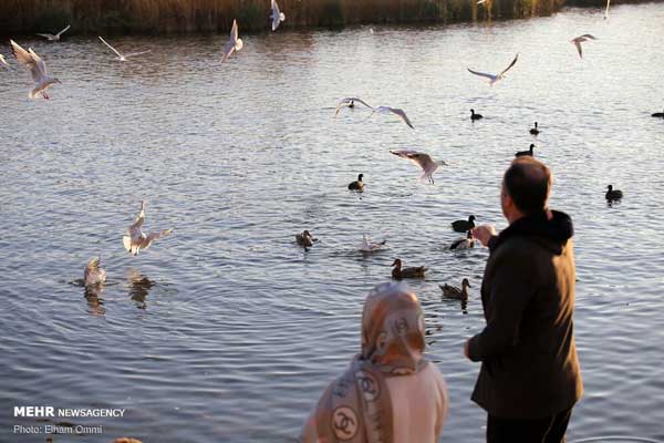 زریوار؛ بزرگترین چشمه آب شیرین ایران