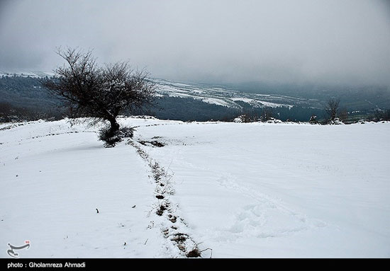 بارش برف در مازندران