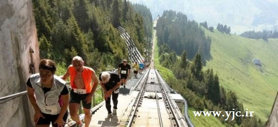 مسابقه بلندترین پله نوردی دنیا +عکس