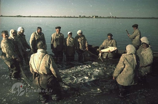 صید ماهی خاویار در خزر 70 سال پیش