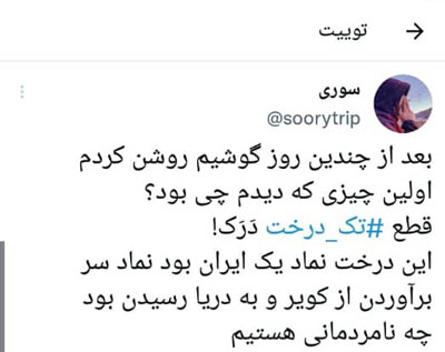 واکنش‌ها به قطع‌شدن تک درخت زیبای «دَرَک» 