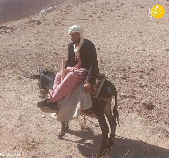 خبرنگاری که با آمدن طالبان هیزم‌کش شد!