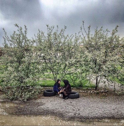 اینجا ایران است (3)