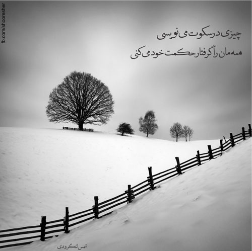 مینی شعر (110)