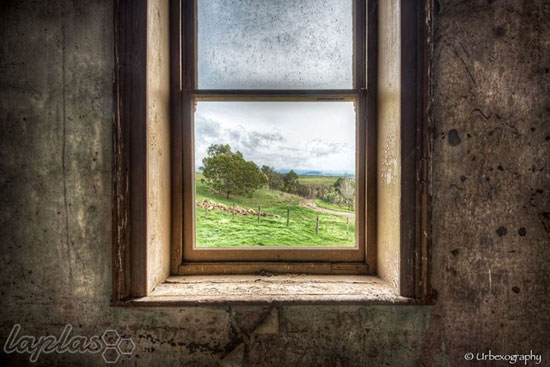 عکس: رویای پنجره ها