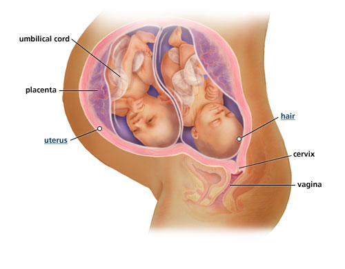 با وضعیت‌های مختلف جنین آشنا شوید