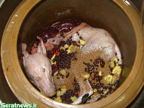 فروش گوشت سگ در ویتنام +عکس