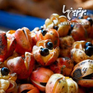 غذاهای ممنوعه، از کنترل شدید گرفته تا کاملاً غیرقانونی غذاهای ممنوعه، از کنترل شدید گرفته تا کاملاً غیرقانونی