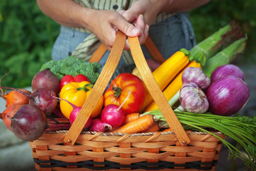 میوه و سبزی مصرف میوه و سبزیجات مجله سلامت سبزیجات خواص میوه و سبزیجات ترفندها تازه نگه داشتن سبزیجات بهترین ترفندها انواع سبزیجات
