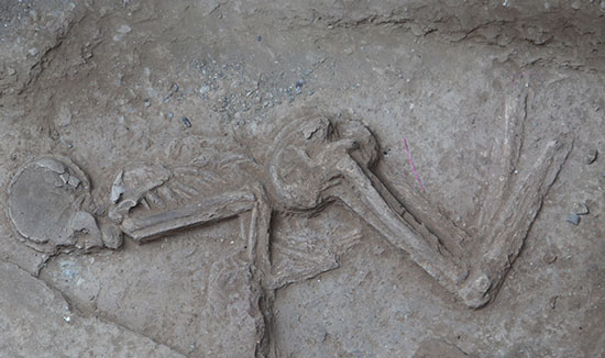 عکس: کشف اسکلت 5 هزار ساله در تهران