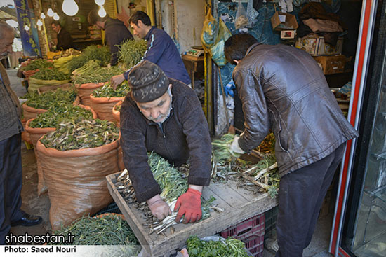 خرید و فروش گیاهان کوهی در ارومیه +عکس