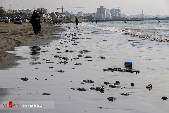 مرگ صد‌ها عروس دریایی در ساحل بندر عباس