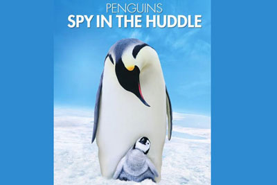 مستند «جاسوسی در قلمرو پنگوئن‌ها» در شبکه یک