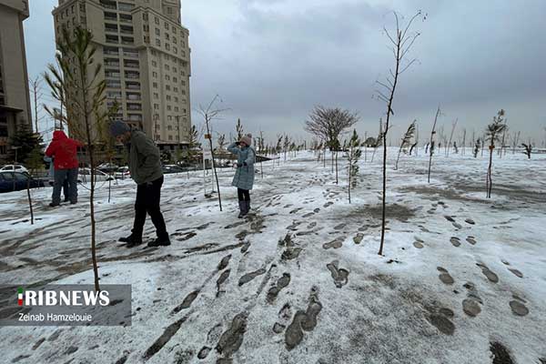 حال و هوای زمستانیِ تهران به روایت تصویر