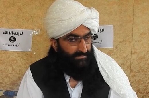طالبان پاکستان: در کنار طالبان افغانستان می‌جنگیم